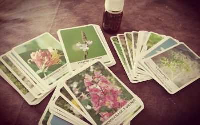 Les FLEURS DE BACH, un accompagnement psycho-émotionnel